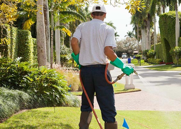 About Jacksonville FL Pest Control